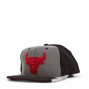 Bulls Day 5 Snapback