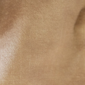 Decent Warm Beige