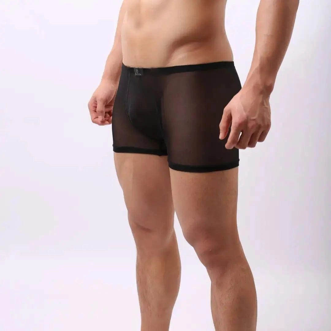 DomiGe Male Underwear Transparent Boxers Sheer Men Sexy Boxers