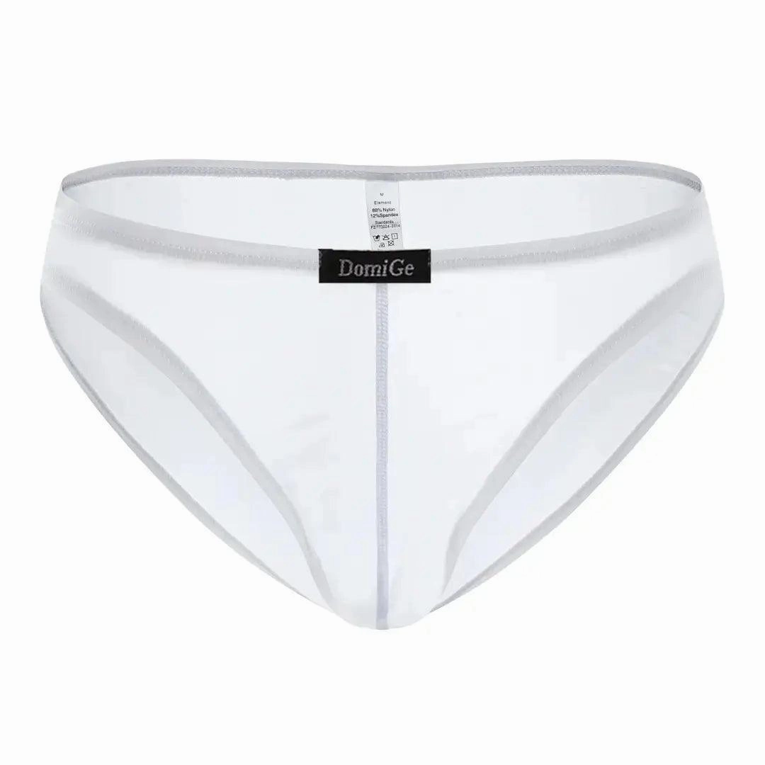 DomiGe Men's Low-Rise Mesh Briefs Full Coverage Male Briefs Underwear
