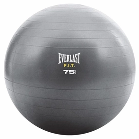 Everlast Core Strenght 75cm Ball