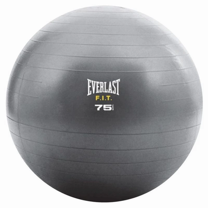 Everlast Core Strenght 75cm Ball