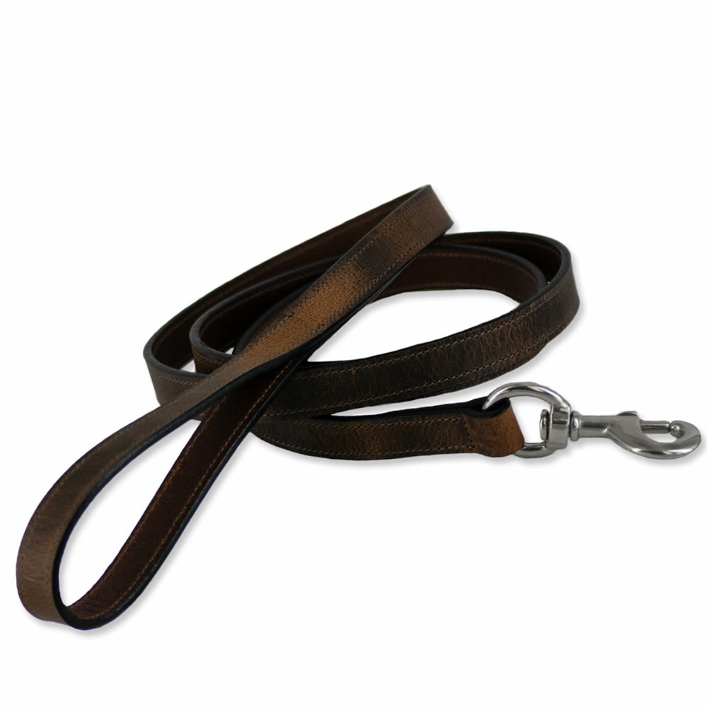 Ollie Leash