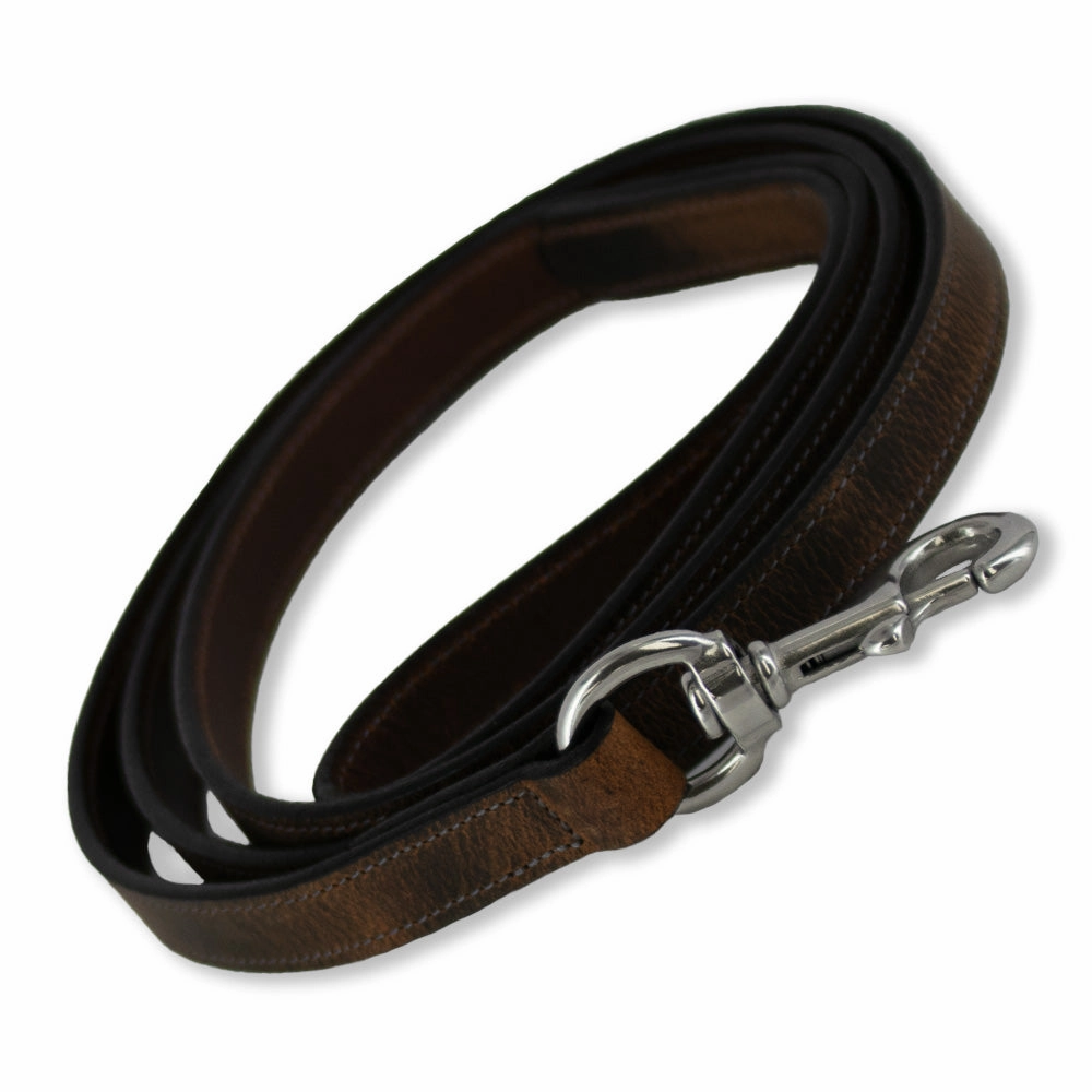 Ollie Leash