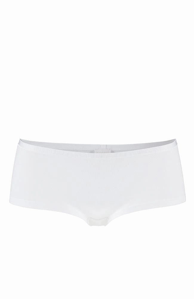 Pureness Micromodal Hipster Brief