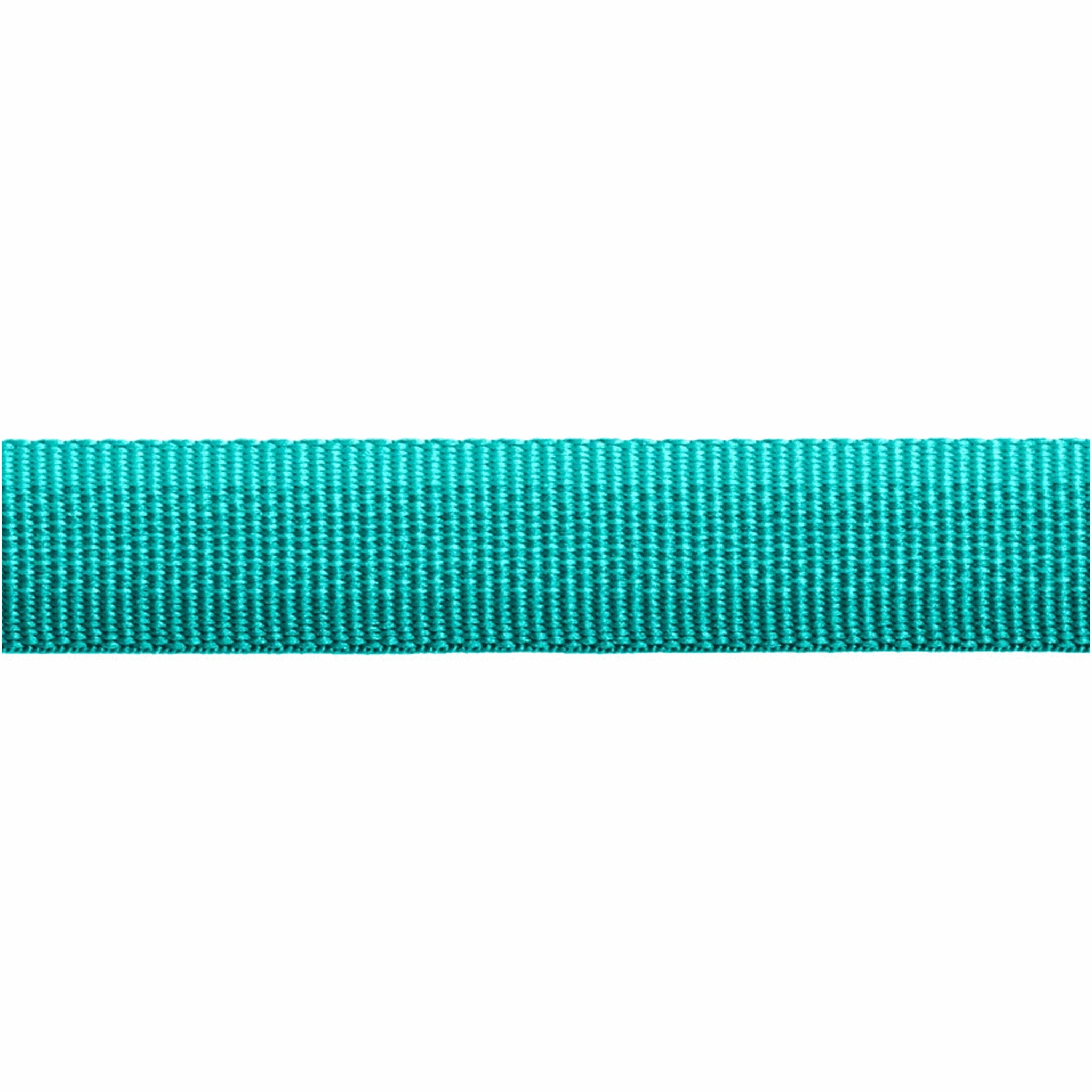 Ruffwear Aurora Teal Front Range Leash